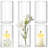 YlYADl 15 cm Hohe Glasvasen für Tischdeko,6er-Pack Zylinder Glas Vasen,Gläser...