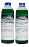 Plankton24 PhytoPlankton Synechococcus sp. (2 Liter) Cyano Stopp Fütterung von...