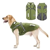 Hundemantel, Winter Hundejacke Wasserdicht Winddichte mit bauchschutz, Outdoor...