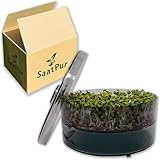 SaatPur® Keimsprossenbox Set 1 mit Einer Etagen als Sprossen Keimgerät:...