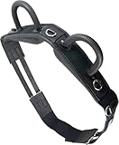 Brama West Voltigiergurt Reitgurt mit Zwei Griffen aus Neopren - geeignet auch...