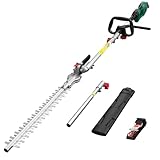 HYCHIKA Leichte elektrische Teleskop-Astschere - 500W Motor, 220-280 cm...