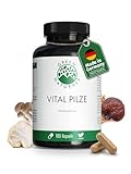 Vitalpilze (7 Pilzkomplex) - Hochdosiert: 1050 mg pro Tagesdosis - 180 Kapseln...