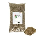 Rasen Schattenrasen Grassamen Rasensamen Rasensaat Gras 2,5kg Gras - Qualität...