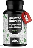 Grüntee Extrakt hochdosiert - 200x Kapseln - Grüner Tee Kapseln 1333 mg pro...