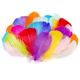 AOOTE Bastelfedern,100 Stück Deko Federn,6~12cm,Bunte Federn,Weich...