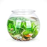 Nobleza - Kugelaquarium Bruchsicherer Kunststoff Fischschale, ideal für Blumen...