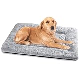 Baodan Hundebett Mittelgroße Kleine Hunde, Hundekissen Waschbar für kleine...
