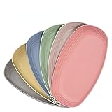 Hobein 6er 29.4cm ovale teller, Plastikteller für RV, Party, Picknick,...