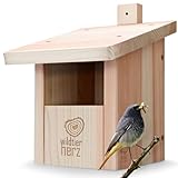 wildtier herz I Vogel Nistkasten Rotkehlchen, Rotschwänzchen aus Massiv-Holz -...