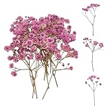 Ruzister 50 Stück Trockenblumen, kleine Baby Atem Blumen, echte Natur, rosa und...
