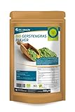 FP24 Health Gerstengras Pulver Bio 1000g - Laborgeprüft - 1kg Gerstengraspulver...