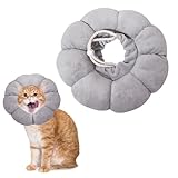TYXHXTF Halskrause Katze, Einstellbarer Halskrause Katze Halsband, Anti Biss...
