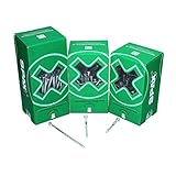 Justierschraube, 6 x 100mm, 100 Stück, Flachkopf, T-STAR plus T30, Halterillen,...