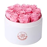 Dekun Rosen-Box Rund Ewige Rosenbox- 12 konservierte Rosen Rot in Box haltbar...