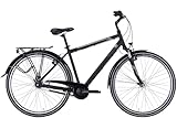 Pegasus Piazza 7 28 Zoll Trekkingrad 7-Gang Nabenschaltung schwarz