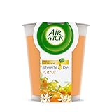 Air Wick Wohlfühl-Duftkerze XL im Glas – Duft: Citrus – Bis zu 40 Stunden...