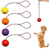AUTOWNLUX 4 Stück Hundespielzeug Ball mit Schnur, ø 5/30 cm Hundespielzeug...