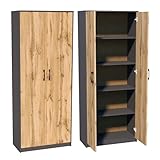 Aktenschrank mit 5 Fächern Mehrzweckschrank Haushaltsschrank in mattem Finish...