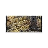 ZooPaul Aquarium Rückwand 3D 100x40cm 100x50cm 100x60cm Terrarium Hintergrund...