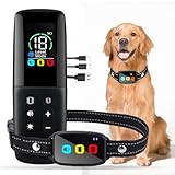 2025 Neuheit Hundetrainingsgerät – Praktisches & Neues Agility-Ausrüstung...