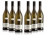 Canti - Prosecco D.O.C. Stelvin Spritziger Extra trockener Wein, italienische...