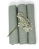 Farnberg Geschirrtücher Leinen, Trockentücher Grün Uni | Reinleinen, Leinen...