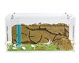 AntHouse - Natürliche Ameisenfarm aus Sand | Acryl Starter Set 20x10x10 cm |...