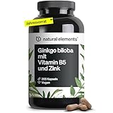 Ginkgo biloba – optimal dosiert mit 3750mg pro Kapsel (50:1 Extrakt) – 365...