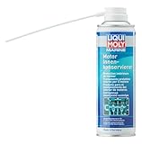 LIQUI MOLY Marine Motor Innenkonservierer | 300 ml | Bootspflege | Art.-Nr.:...