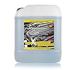 Fast X Kaltreiniger & Motorreiniger 5L