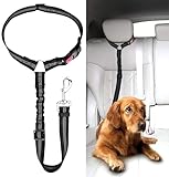 Verstellbarer Anschnallgurt für Hunde im Auto - Sicherheitsgeschirr,...