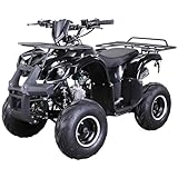 Actionbikes Motors Kinder Quad ATV S-8 Farmer 125 cc | 4-Takt 125ccm Motor bis...