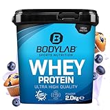 Bodylab24 Whey Protein Pulver, Blaubeer-Muffin, 2kg