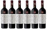 Novantaceppi Primitivo Puglia IGT Rotwein halbtrocken (6 x 0.75 l)