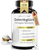10-fach Komplex Gelenkglück - Kollagen Kapseln hochdosiert mit Hyaluron +...