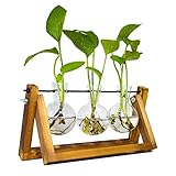 Propagation Station, Ableger Pflanzen Glas für Hydroponische Pflanzen,...