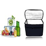 HIQE-FL Kühltasche Faltbar,10L Picknicktasche Kühltasche,Thermotasche...