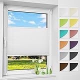 Allesin Plissee ohne Bohren Plissees Klemmfix Weiß 35x130cm(BxH), Plisseerollo...