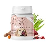 Annimally Dog's Daily - Multivitamin Tabletten Hundetabletten mit Vitaminen...