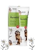 BANO Arlberger Murmelin Sport und Gelenksalbe I Original Murmeltiersalbe I MADE...