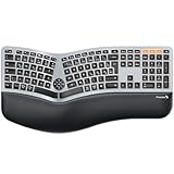 ProtoArc EK01 Plus Ergonomische Tastatur Kabellos Beleuchtet, Full Size Ergo...