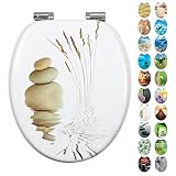 Fanmitrk WC Sitz mit Absenkautomatik, Hochwertiger Toilettendeckel Stabil und...