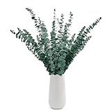 XIATIAN 24 Stück Eukalyptus Getrocknet 43cm+, Eukalyptus Deko, Natürliche...