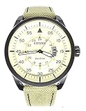 Citizen Aviator Eco Drive AW1365-19P Montre Pour Homme, Beige/Beige, Sportif
