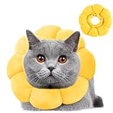 Wishstar Halskrause Katze Größen S, Leckschutz Katze, Weich Halskragen für...