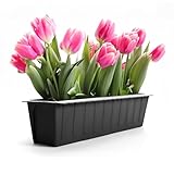 BigDean 6 Stück Paletten Blumenkästen Einsatz in Anthrazit – Pflanzkasten...