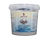 CREARTEC Echter Knetbeton - Bastelbeton - Modellierbeton - schadstofffrei - zum...