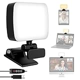 RealPlus Videokonferenz Licht mit Clip&USB-Kabel, 120 LED+3 Lichtfarben+10...