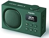 Inscabin P2 Tragbarer DAB/DAB + FM-Digitalradio/Tragbarer drahtloser...